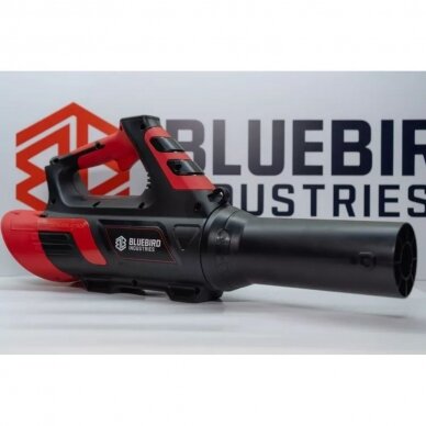 Akumuliatorinis lapų pūstuvas Blue Bird BL 22-300, 21V, 1x5Ah 2