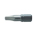 Antgaliai TORX T15 / 25mm*2vnt / S2 plieno