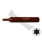 Antgalis TORX T20*75mm PROFI