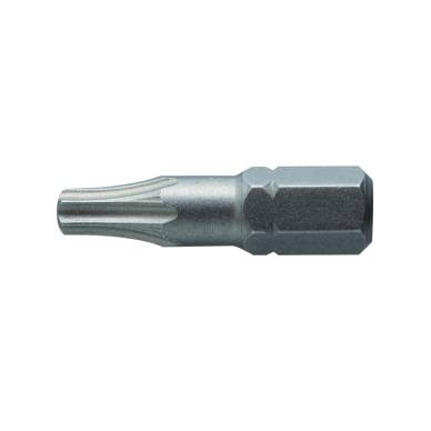 Antgaliai TORX T10 / 25mm*2vnt / S2 plieno