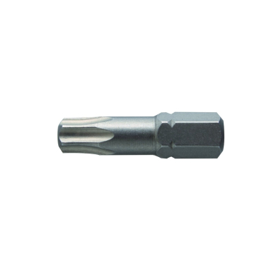 Antgaliai TORX T30 / 25mm*2vnt / S2 plieno