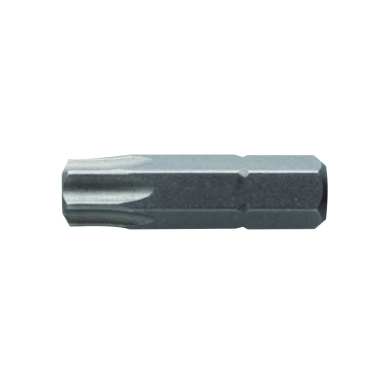 Antgaliai TORX T40 / 25mm*2vnt / S2 plieno