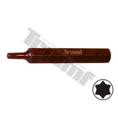 Antgalis TORX T20*75mm PROFI