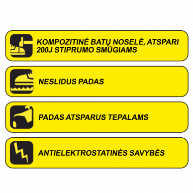 Apsauginiai batai Dedra BH9P3-39, dydis 39 2