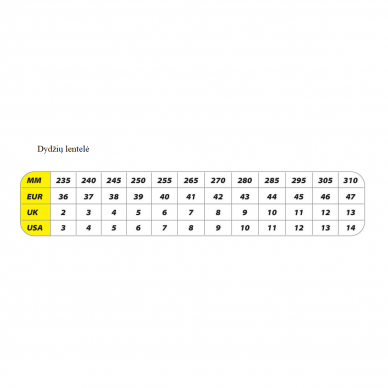 Apsauginiai batai Dedra BH9P3-39, dydis 39 3