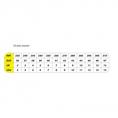 Apsauginiai batai Dedra BH9P4VK-47, dydis 47 2