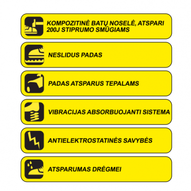 Apsauginiai batai Dedra BH9P4VK-44, dydis 44 1