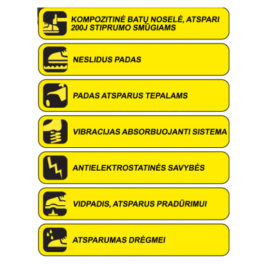 Apsauginiai batai Dedra BH9T4VK-47, dydis 47 1