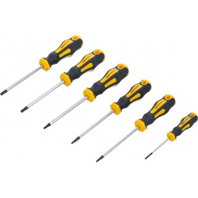 Atsuktuvų rinkinys | T-Star (Torx) T10-T30 | 6 vnt. (35826)