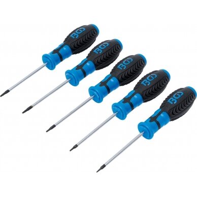 Atsuktuvų rinkinys | T-Star (Torx) | T6 - T10 | 5 vnt. (6828)