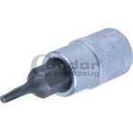 Įpresuotas 1/4 antgalis T7 TORX