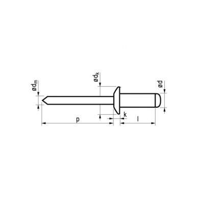 Kniedės MASTERFIX 1031 3,2x12mm, 1000vnt. 2