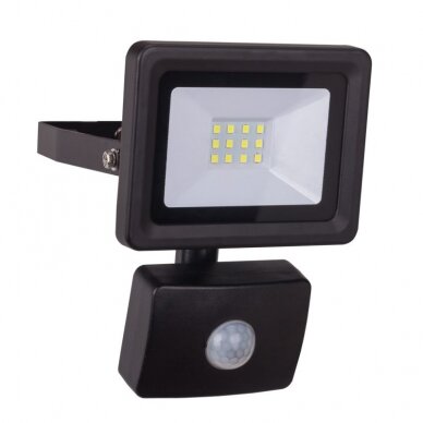 Sieninis šviestuvas su judesio davikliu SLIM Dedra L1091-1, 10W SMD LED, IP44