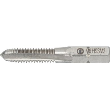 Sriegimo antgalis 1/4''HSS-G M2 ,M6x1,0