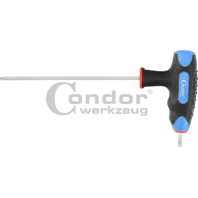 T-formos raktas TORX T15 x 115 mm