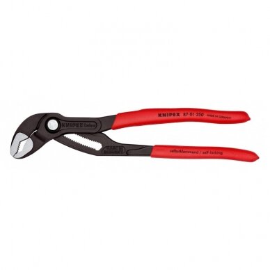 Vamzdinės replės KNIPEX Cobra 8701 250mm